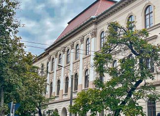 17 licee din Timișoara participă la prima ediție a bugetării participative în școli