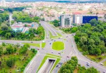 Vezi unde s-au plantat peste 3.000 de arbori în Timișoara în ultimele luni – harta cu bulevardele care vor fi înverzite