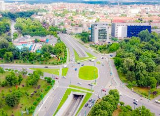 Vezi unde s-au plantat peste 3.000 de arbori în Timișoara în ultimele luni – harta cu bulevardele care vor fi înverzite