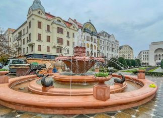 Fostul viceprimar al Timișoarei, Dan Diaconu se alătură scandalului legat de fântâna cu pești: „Aspectul de vas de ceramică vândut în târg de comună este meritul exclusiv al celor ce au “deblocat” proiectul în acești doi ani.”