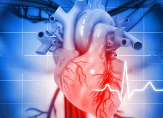 17 lucruri uimitoare despre inimă pe care sigur nu le știai