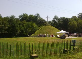 Pădurea Verde este cu un pas mai aproape de a deveni pădure-parc