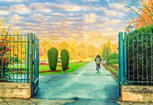 S-a redeschis pentru public Parcul Botanic după instalarea stâlpilor pentru iluminat public în parc
