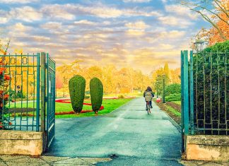 S-a redeschis pentru public Parcul Botanic după instalarea stâlpilor pentru iluminat public în parc