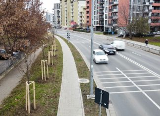 Dominic Fritz, primarul Timișoarei: „ Am investit anul acesta peste 420 de milioane de lei în modernizarea Timișoarei.”