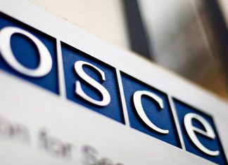 România va bloca intenția Austriei de a prelua șefia OSCE