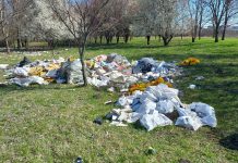 Nepăsare! 12 tone de deșeuri ridicate de administrația timișoreană de lângă perdeaua verde a orașului