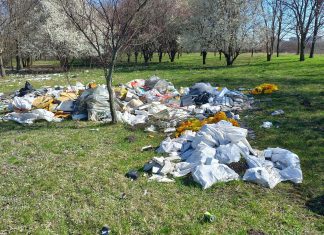 Nepăsare! 12 tone de deșeuri ridicate de administrația timișoreană de lângă perdeaua verde a orașului