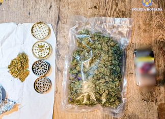 Șapte percheziții ale DIICOT la adrese din Timișoara și Pișchia, la persoane bănuite de trafic de droguri. Patru persoane au fost arestate