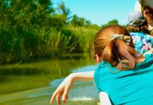 Inițiativa ”Ecluze pe Bega” pornește la drum în 2023 cu o nouă viziune pentru canalul care ne unește de Serbia