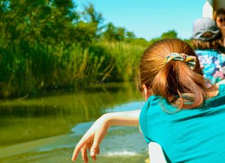 Inițiativa ”Ecluze pe Bega” pornește la drum în 2023 cu o nouă viziune pentru canalul care ne unește de Serbia