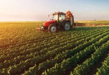 Cum va fi următoarea săptămână pentru agricultură? Specialiștii anunță secetă în Dobrogea, pe suprafeţe extinse din Moldova şi în unele zone din Muntenia şi Banat