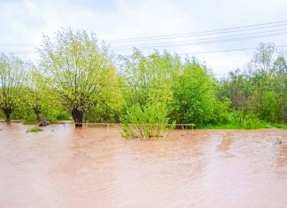 Case, curți și terenuri inundate la Sinersig, Chevereșu Mare și Hodoș în urma ploilor abundente