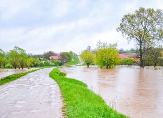 Cod portocaliu şi galben de viituri pe râuri din Timiș și alte șapte judeţe din vestul ţării