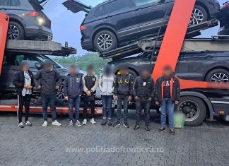 Imigranți prinși la frontiera cu Ungaria: s-au ascuns pe unde au putut – prin tiruri, prin mașini mici, pe trailere.