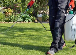 Roxana Iliescu : ”Minunate planurile primarului Fritz. Mai puțin și aselenizează”