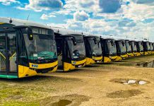 Transport public mai verde la Timișoara: 30 de autobuze electrice noi în flota municipalității