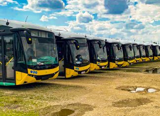 Transport public mai verde la Timișoara: 30 de autobuze electrice noi în flota municipalității