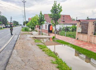 Apa a fost evacuată din curțile locuitorilor din Sânnicolau Mare, Cenad și Sânpetru Mare, afectați de ploile din această după-amiază