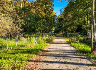 Vreme de primăvară la început de noiembrie: meteorologii anunță temperaturi record