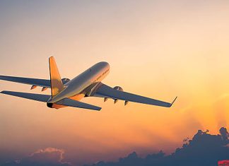 CJ Timiș vrea să înființeze o companie de transport aerian, alături de alte 14 consilii județene