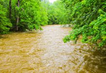 Cod galben de viituri valabil până luni la ora 24:00