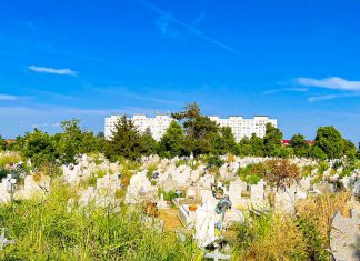 Consilierul local Roxana Iliescu anunță o nouă „pepinieră” de posturi pentru useriști în administrația publică locală. Este vorba despre noua structură din cadrul Horticultura SA care ar trebui sa administreze două cimitire din oraș, deși nu are avizele necesare cerute de lege