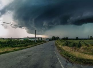 Cod Portocaliu de intensificări ale vântului și vijelii la nivelul județului Timiș