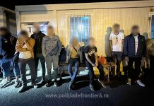 53 de cetăţeni străini, depistați ascunși în ultimele 24 de ore la vamele Nădlac I și II