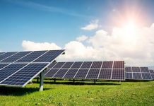 Timișoara investește peste 32 de milioane de lei în primul său parc fotovoltaic – energie verde pentru iluminatul public