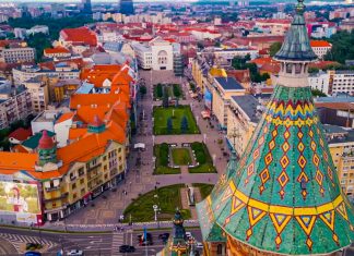 Evenimentele planificate de PMT în 3 august, Ziua Timișoarei