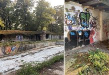 Roxana Iliescu: Baza Uszoda, o toaletă publică în aer liber, plină de gunoaie și urât mirositoare, în care primarul Fritz invită timișorenii sa joace baschet!