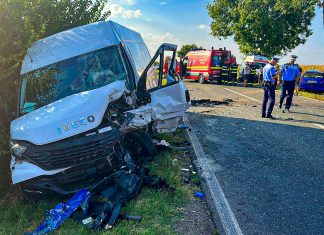 Trei victime în urma ciocnirii unui microbuz cu o mașină la Becicherecu Mic