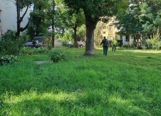 Primăria Timișoara spune că intensifică activitățile de îngrijire a spațiilor verzi