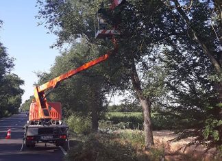 Trafic oprit temporar pe porțiunea Coșava – Coșevița, în cursul săptămânii viitoare