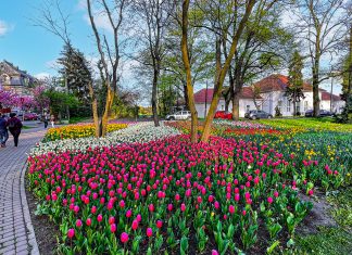 Panourile fotovoltaice – ineficiente în Parcul Justiției din centrul Timișoarei. Acestea vor fi date jos iar iluminatul va fi asigurat din rețeaua electrică