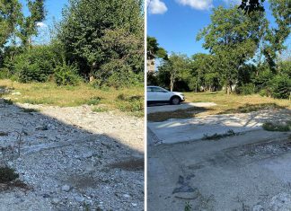 Roxana Iliescu: Autoritatea primarului Fritz e zero, la fel și credibilitatea lui!