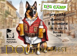 DOGtoberfest – festival pentru iubitorii de câini desfășurat duminică la Bucovăț