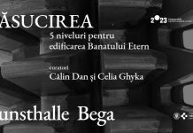 RĂSUCIREA. 5 niveluri pentru edificarea Banatului Etern