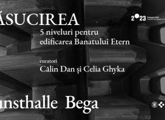 RĂSUCIREA. 5 niveluri pentru edificarea Banatului Etern