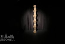 Ultima zi pentru Brâncuși „acasă” – expoziția cu piese în valoare de jumătate de miliard își închide porțile în seara asta (foto și video)