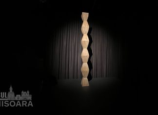 Ultima zi pentru Brâncuși „acasă” – expoziția cu piese în valoare de jumătate de miliard își închide porțile în seara asta (foto și video)