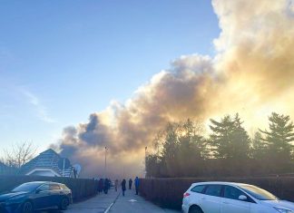 Incendiu la fabrica Fornetti de la Hodoni (video)