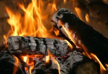 Lemnele rezultate din toaletarea arborilor din oraș vor fi donate unor familii cu greutăți financiare