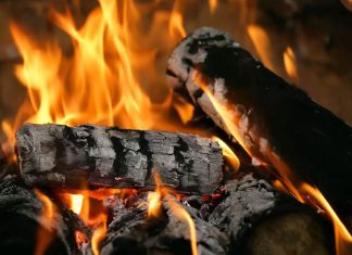 Lemnele rezultate din toaletarea arborilor din oraș vor fi donate unor familii cu greutăți financiare