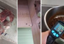 Cantina Liceului Silvic închisă de Protecția Consumatorului : au găsit produse expirate, excremente de rozătoare și temperatură de depozitare necorespunzătoare