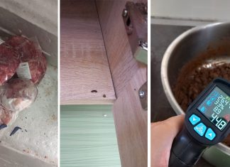 Cantina Liceului Silvic închisă de Protecția Consumatorului : au găsit produse expirate, excremente de rozătoare și temperatură de depozitare necorespunzătoare