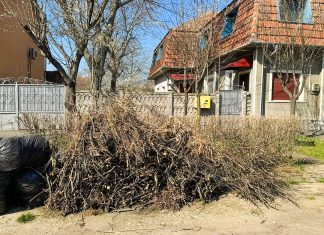 Roxana Iliescu: Primăria nu mai ridică resturile vegetale, deși au contract valabil