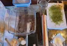 7 mandate de percheziții executate de DIICOT azi în județul Timiș la traficanții de droguri