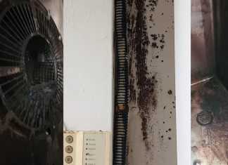 Propunere de închidere temporară a Restaurantului Papa’s din Lugoj în urma unui control făcut de Protecția Consumatorilor (galerie foto)